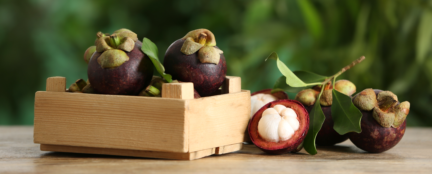 17-Mangosteen_Acai_button_picture_1